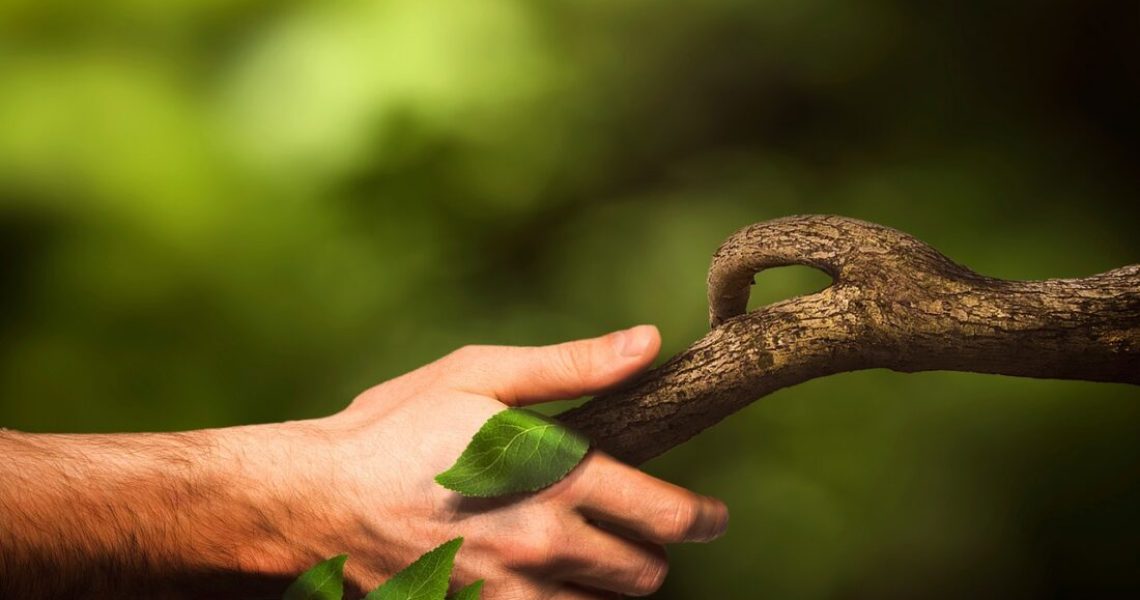 Le_recyclage_du_bois_dans_la_maison_:_une_solution_pour_un_foyer_éco_responsable